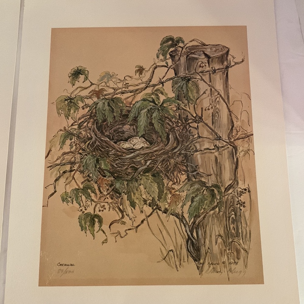 1975, set of numbered, 88/500 and 89/500 signed prints of birds nest MARY MUGG. - Picture 3 of 9